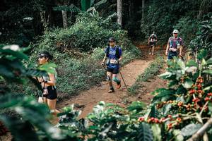 BIB: 
                            <button type="button" onclick="openModal(25856141)" class="btn btn-primary btn-sm float-right btn-popup" data-toggle="modal" data-target=".modal-high-quality">
                        <i class="fas fa-shopping-cart"></i> Add to Cart
                    </button>
                                            <button type="button" onclick="isThisMe(25856141, true)" class="btn btn-success btn-sm float-right btn-popup btn-isme hidden" data-toggle="tooltip" data-placement="bottom" title="นี่คือรูปของคุณใช่ไหม คลิกที่นี่เพื่อเอาเข้าอัลบั้ม">
                        <i class="fas fa-plus"></i> Add to album
                    </button>
                    <button type="button" onclick="isThisMe(25856141, false)" class="btn btn-warning btn-sm float-right btn-popup btn-isnotme hidden">
                        <i class="fas fa-ban"></i> Remove from album
                    </button>